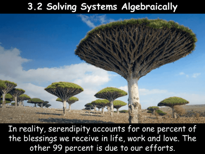 Quiz 2 solving linear systems algebraically