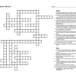 Blood basics review crossword puzzle