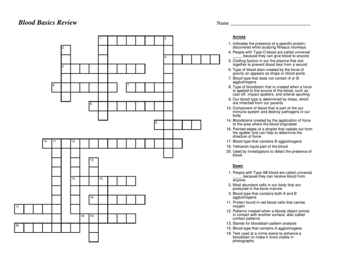 Blood basics review crossword puzzle