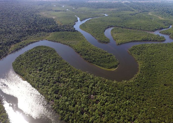 Wat is de langste rivier ter wereld