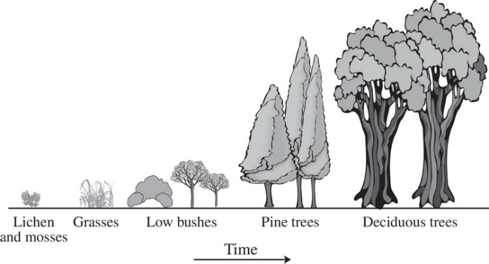 Unit 4 ap environmental science test