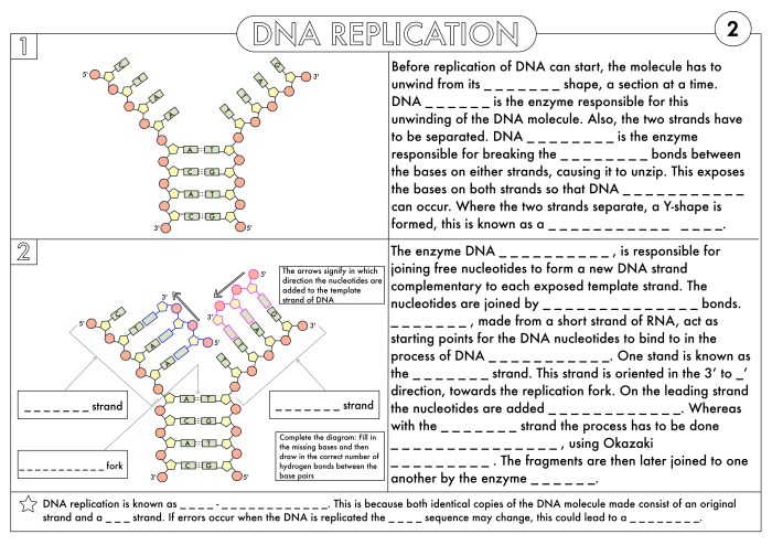 Rna practice worksheet #4 answer key