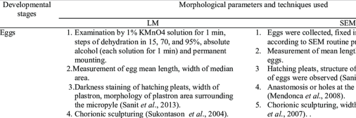 Morphological stages development acquisition morpheme brown