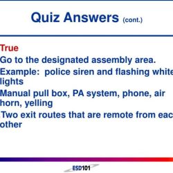 Ministry safe training quiz answers