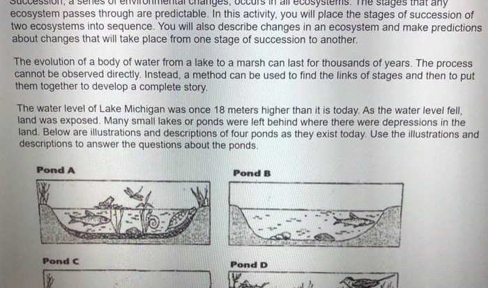 Examining the stages in ecological succession worksheet answers