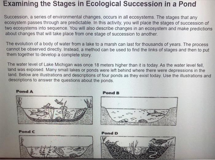 Examining the stages in ecological succession worksheet answers