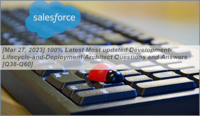 Development lifecycle and deployment architect questions