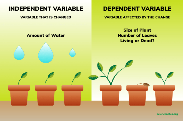 Finding the independent and dependent variables worksheet