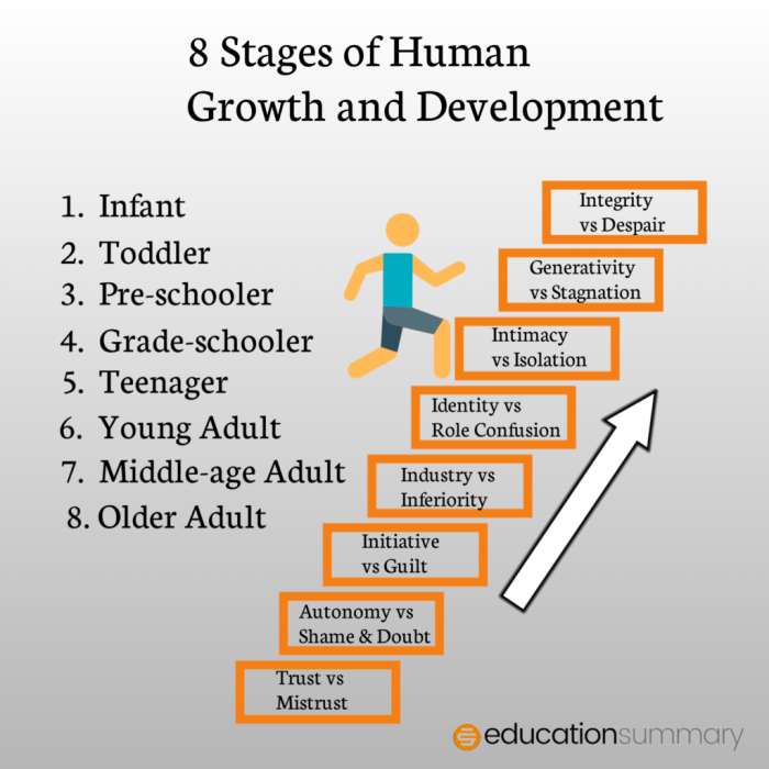 Understanding the whole child prenatal development through adolescence