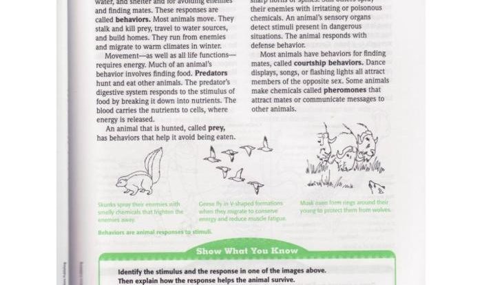 Population community and ecosystem worksheet