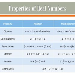 Quiz 1-1 the real numbers and properties answer key